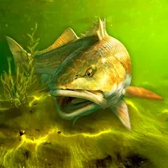 My Fishing World - Реальная рыбалка v1.16.28 MOD: меню; много денег